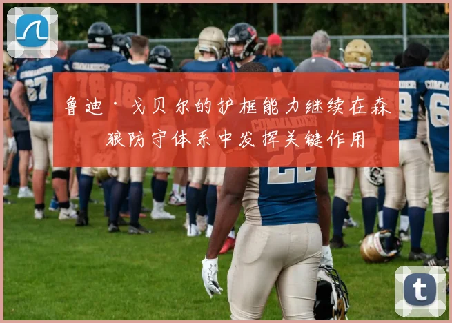 鲁迪·戈贝尔的护框能力继续在森林狼防守体系中发挥关键作用