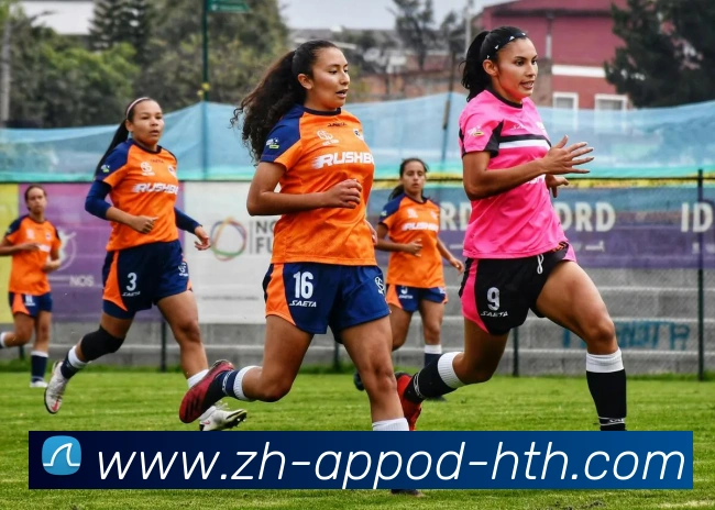 华体会hth发展历程